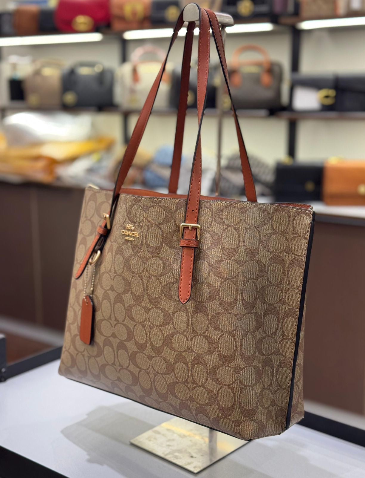 COACH MOLLIE TOTE