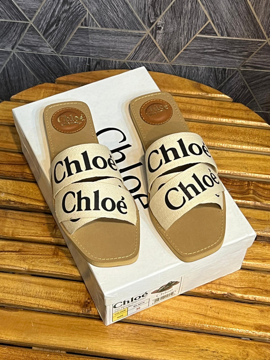 CH White Slides