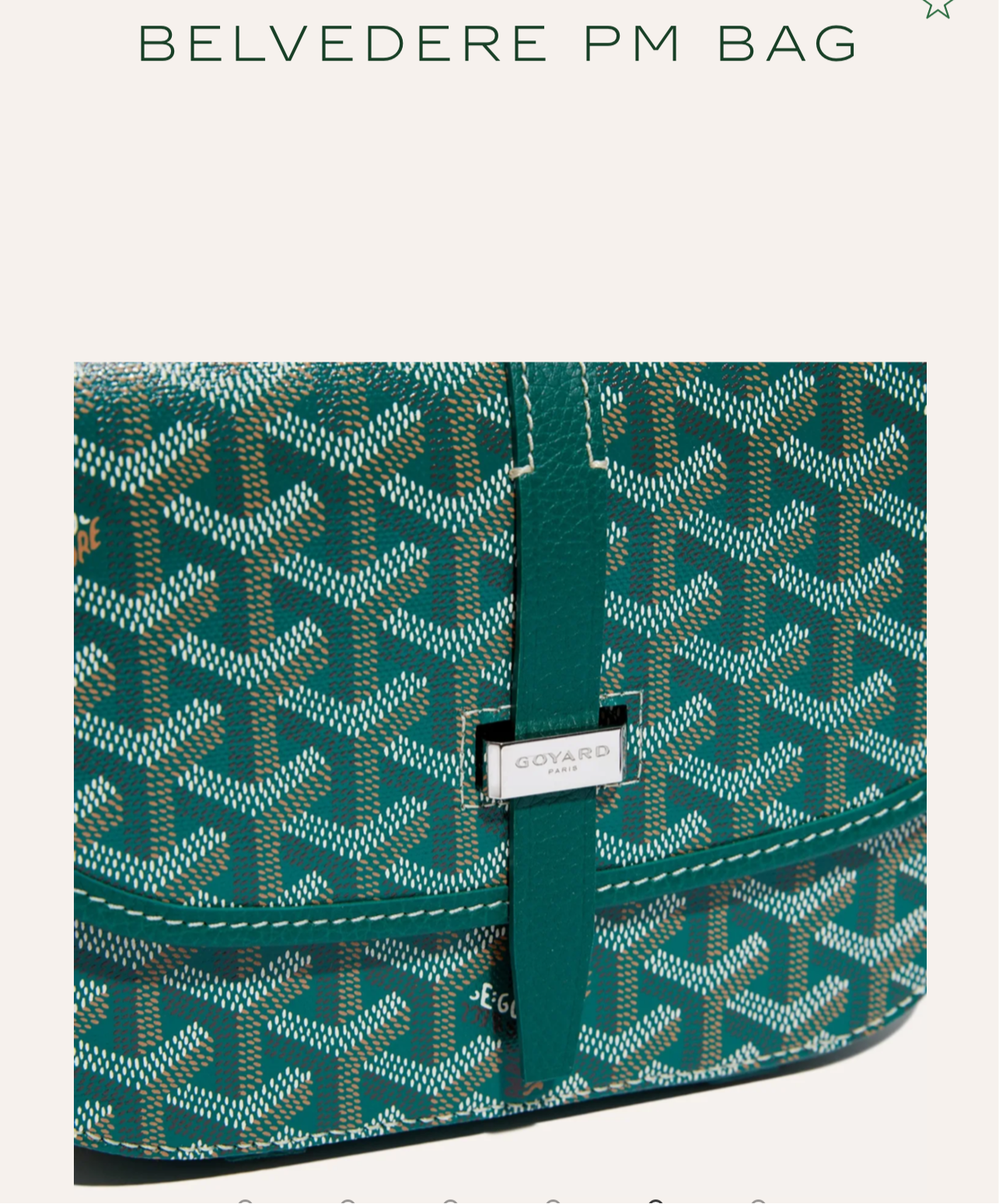 Goyard Belvedere PM Bag Green